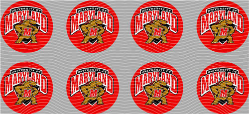 16oz Latest Bestseller-C 3964